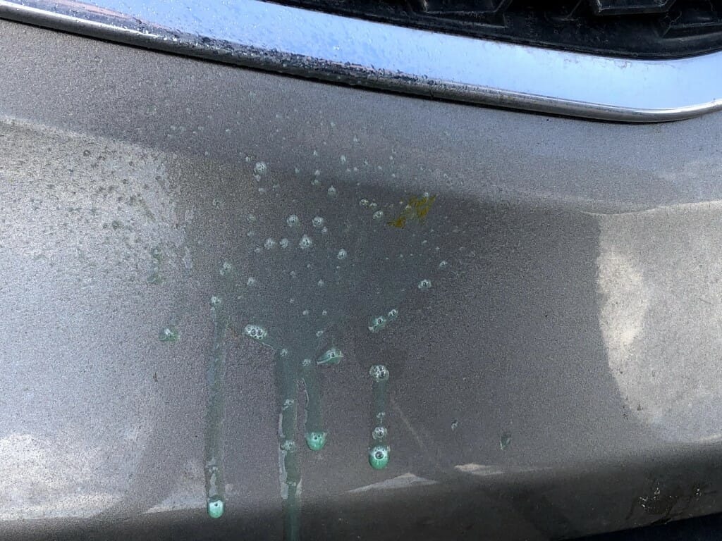 Poorboys Bird Shit remover sprøjtet på Poorboys Bird Shit remover sprøjtet på